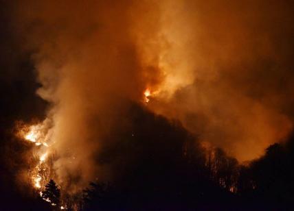 Varese, incendio sul monte Martica: 100 ettari distrutti. "Forse è doloso"