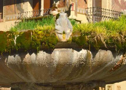Coppedè, la fontana delle Tartarughe invasa da erba e muschio. Degrado Roma