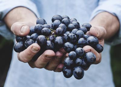 frutta cibo sano uva vendemmia