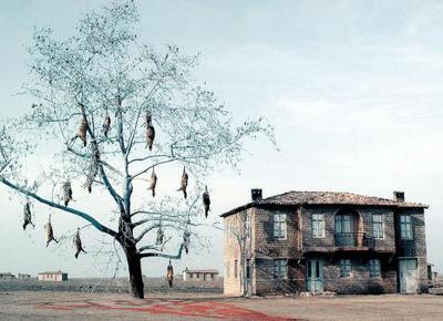 grecia arte incendi