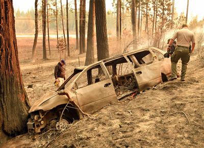 Incendi california ape
