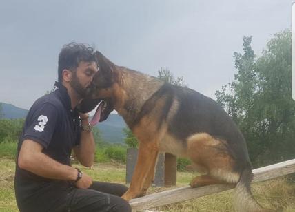 Ucciso il cane Kaos. Proposta una medaglia al valore per l’eroe di Amatrice