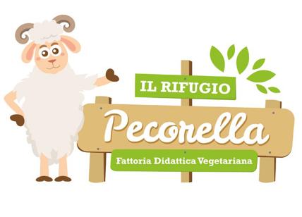 Coldiretti avvia in Campania la prima scuola di cucina vegetariana a km zero