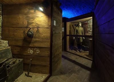 Museo GG Gorizia Massimo Crivellari (POR FESR 2007 2013)