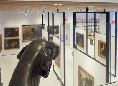 museo cane ape