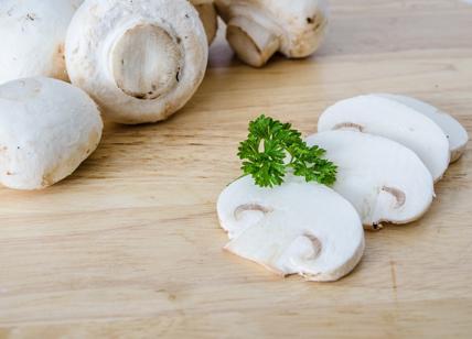 Funghi champignon bianchi: super alleati contro il diabete