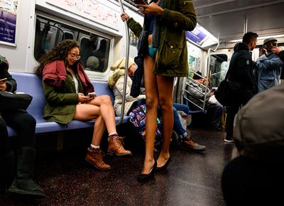 no pants ape