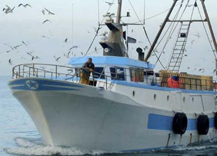Crisi Pesca in Puglia, Alleanza Coop e Federpesca incontrano Leo di Gioia
