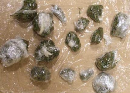 Roma, nascondevano in casa 865 grammi di marijuana: in manette tre pusher