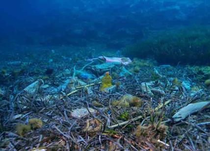 Fiumicino, l'allarme dei pescatori: “Nelle reti ci sono più rifiuti che pesci”