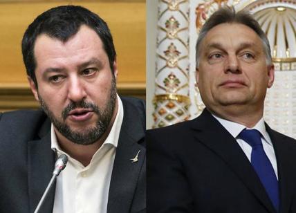 Orban può minacciare l'asse Lega-M5s? Fi con Salvini, il Pd prova il dialogo