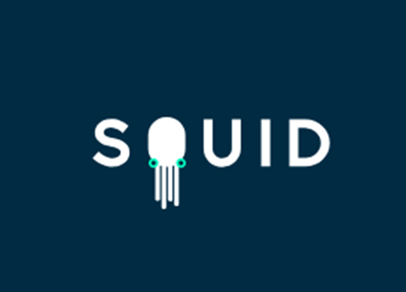 Squid logo ape