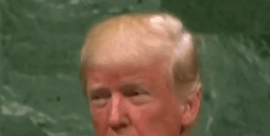 trump risate