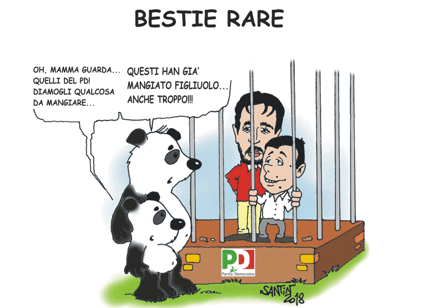 vignetta pd