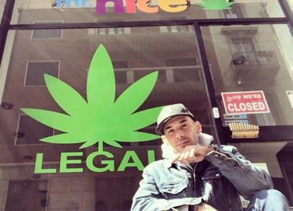 Cannabis, Polizia da Mr Nice, store di "Grido": tutto regolare