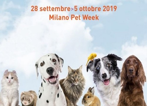 Pet Week Pet Week