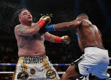 Boxe: Andy Ruiz, ecco il campione mondiale dei pesi massimi sovrappeso