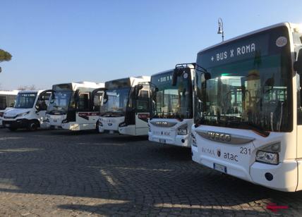 Atac follia, i bus presi a noleggio in Israele sono una truffa: soldi buttati