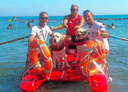Tutti al mare, domenica da cani bagnini: salvataggi a Ostia e Alcamo Marina