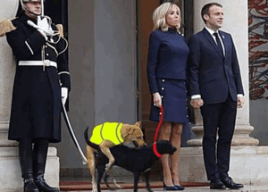 Brigitte Macron torna a insegnare Prof in una scuola per disoccupati