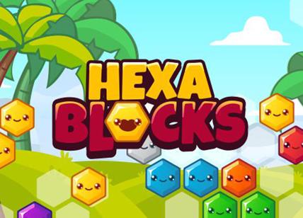 Hexa Blocks
