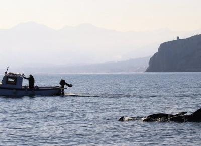 pelagos copertina