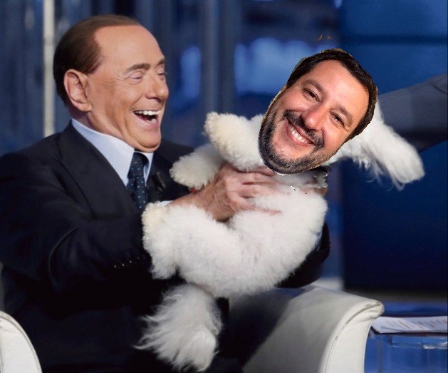 salvini berlusconi ironia