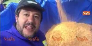 salvini