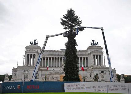 Grandi opere a Roma: è arrivato Spelacchio 2019-2020. L'albero delle risate