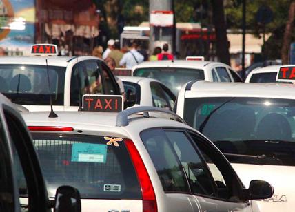 Taxi, Comune: potenziamento del servizio e 450 licenze in più