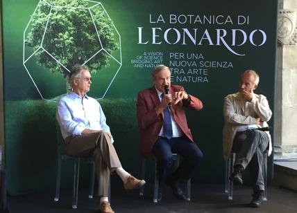 La Botanica di Leonardo, a Firenze una mostra sulle forme del mondo vegetale