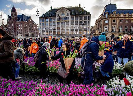 Si apre la stagione dei tulipani in Olanda