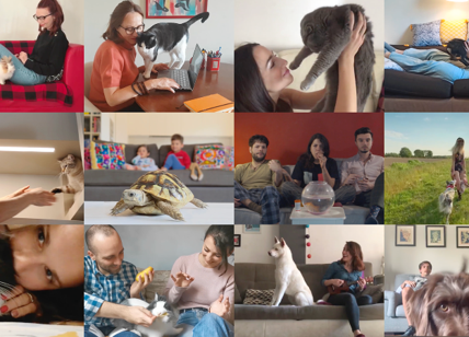 Your Pet Stories, primo spot user-generated Arcaplanet realizzato con Alkemy