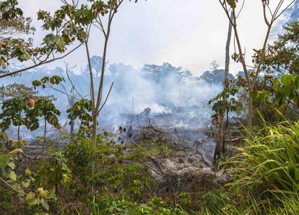 Amazzonia 2019, foresta in fiamme: bruciati 12 mln di ettari. Il fotoreportage