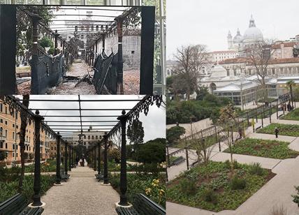Restaurati i Giardini Reali di Venezia: la rinascita di San Marco