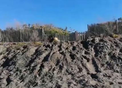 M5s, Grillo scava fossa in spiaggia: "Il 2020 sarà anno meraviglioso". Video