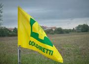 Coldiretti flag