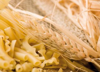 Pasta con grano italiano, da Conad a Barilla: occhio alla provenienza