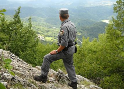 Furbetti del cartellino: 14 forestali denunciati per truffa in Calabria