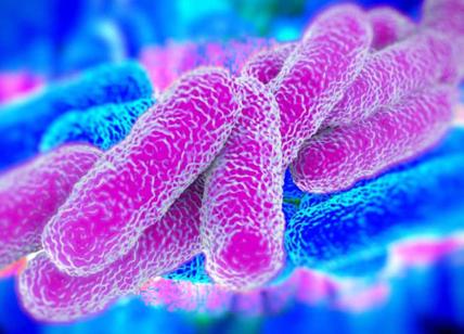 Salute, i super batteri responsabili di oltre 700000 morti all’anno