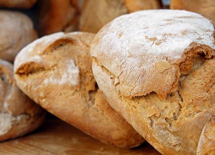 Colesterolo alto, quale pane mangiare? Ecco la migliore soluzione