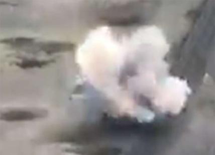 Guerra Russia-Ucraina: artiglieria di Kiev distrugge un carro armato di Putin