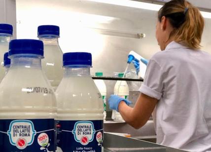 Centrale Latte, lo yogurt di Roma si produce a Caserta: 160 posti a rischio