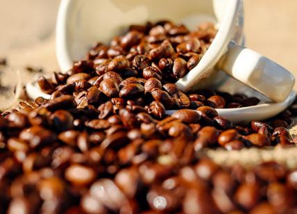 Caffè, 3 miliardi di tazzine consumate ogni giorno nel mondo