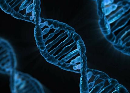 Genoma umano, per la prima volta la mappa dettagliata del DNA