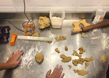 Dog mania: nasce il primo laboratorio di biscotti artigianali per cani