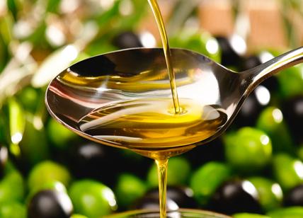 Energia, inflazione, siccità: olio d’oliva a picco, persa una bottiglia su tre