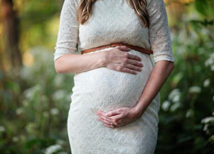 Usa, donna incinta contesta la multa: "Siamo in due in auto"