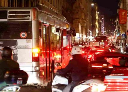 Romani a rischio di estinzione a causa del traffico. Lo dice Greenpeace