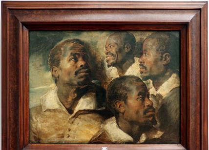 Museo cambia titolo a un quadro di Rubens: "Testa di moro è discriminatorio"